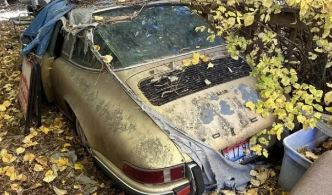 В США спасли Porsche 911, забытый на улице на 31 год (13 фото)