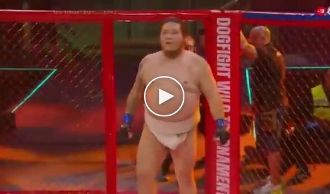 A Japanese Sumo Wrestler Defeated a Professional Boxer