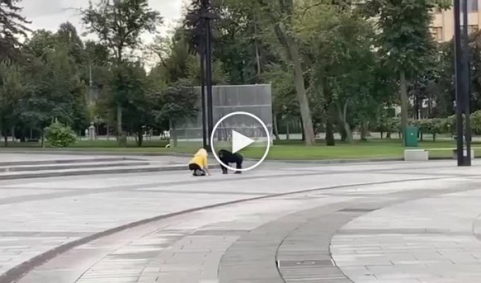В Харькове из зоопарка свалила погулять здоровенная обезьяна