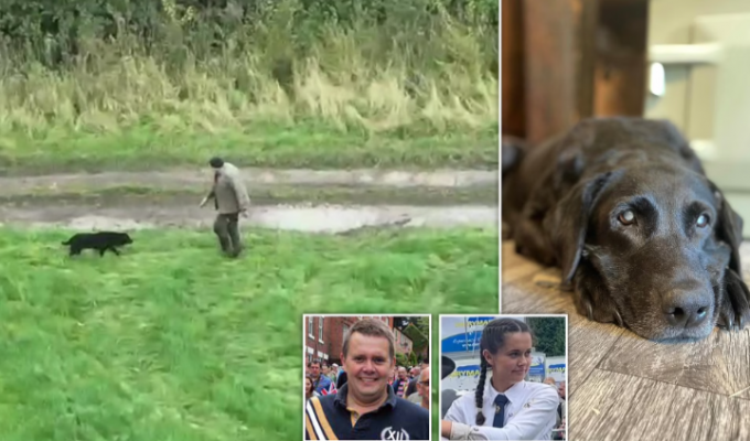 Хозяин нашел пропавшую слепую собаку с помощью дрона (6 фото + 1 видео)