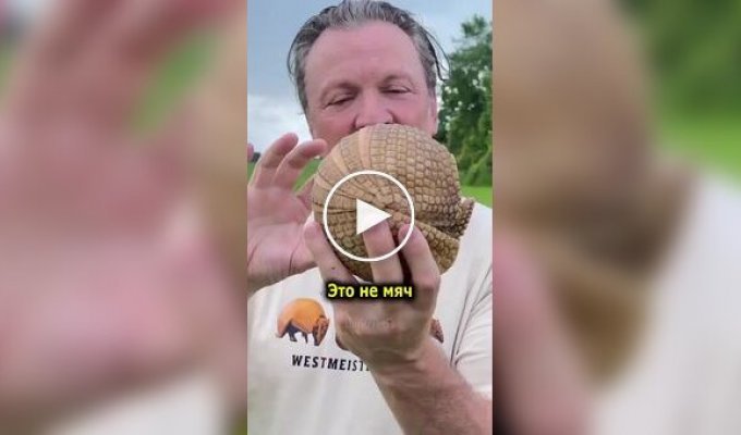 Неожиданный факт о броненосцах