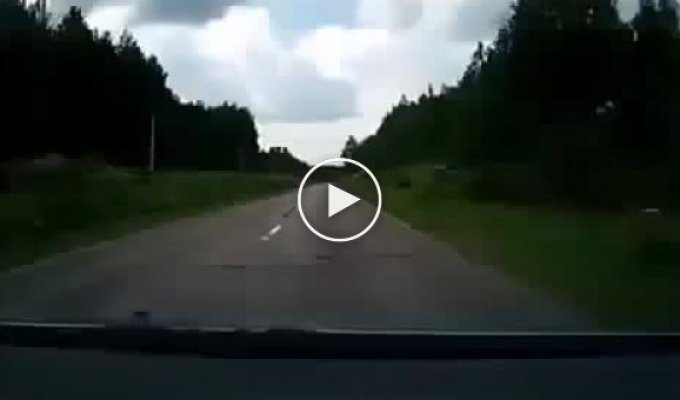 Реакция водителя спасла всю его семью