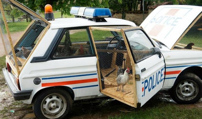 Курятник в полицейской машине (0 фото)
