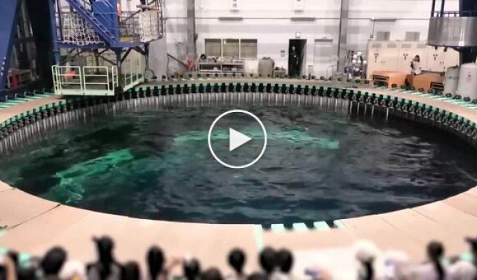 A swimming pool to simulate waves and currents