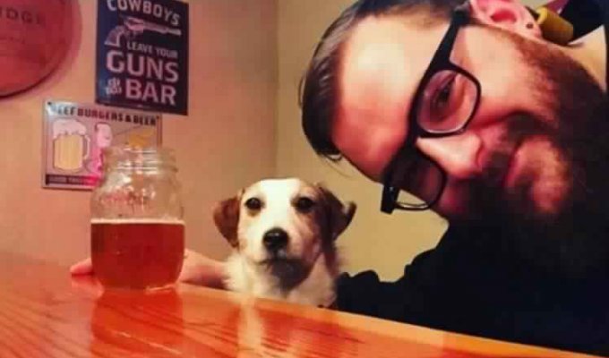 The dog became famous on the Internet 4 years after his death (8 photos)