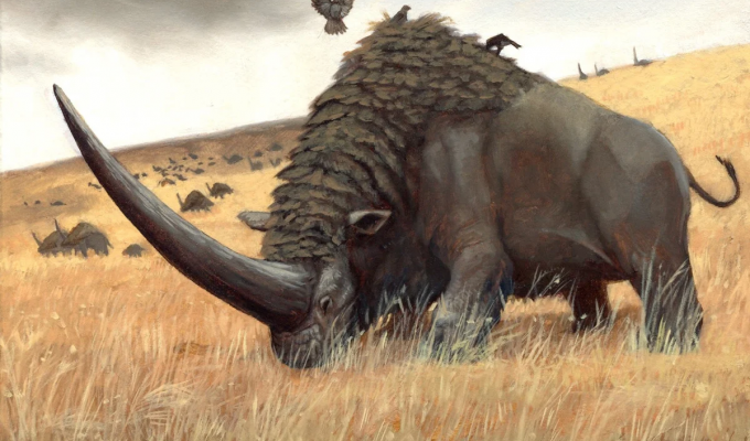 Эласмотерий: Рог размером с человека! Сверхмассивного носорога застали наши предки (5 фото)