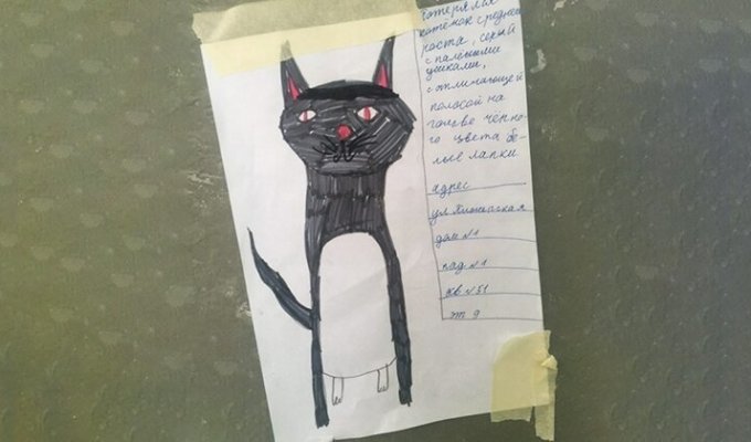 Девочка нарисовала самый милый фоторобот, чтобы найти пропавшего кота (4 фото)