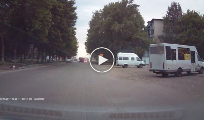 В Ульяновске мужчина сломал руку водителю, сбившему его собаку (маты)