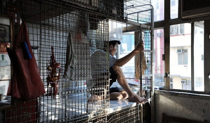 Квартиры-клетки в Гонконге: как люди живут в очень стесненных условиях (6 фото)
