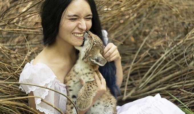 A girl from St. Petersburg saved two lynxes and gave them shelter (15 photos)