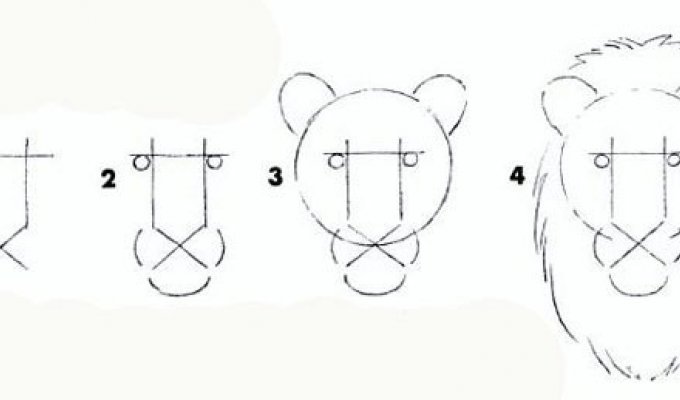 Рисуем льва карандашом (3 фото)