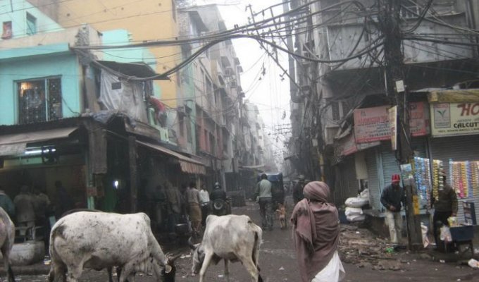 Обратная сторона мегаполисов в Индии (55 фото)
