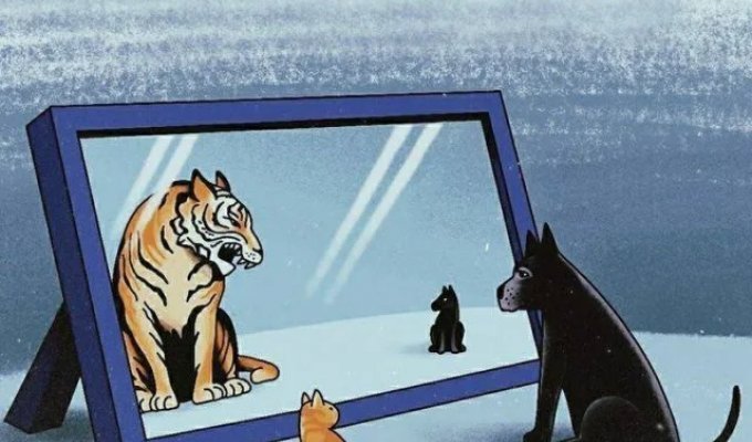 Подборка философских картинок. Выпуск 161