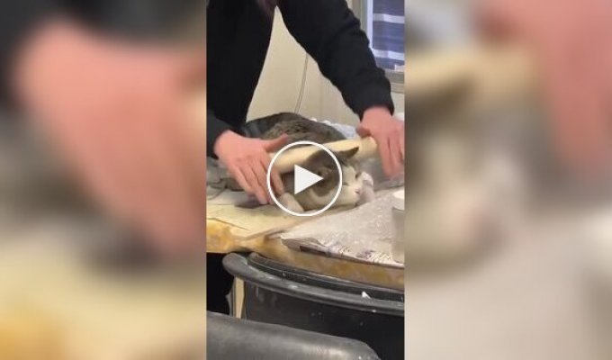Пушистый любитель массажа