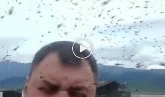 Северобайкальские насекомые ждут туристов в гости