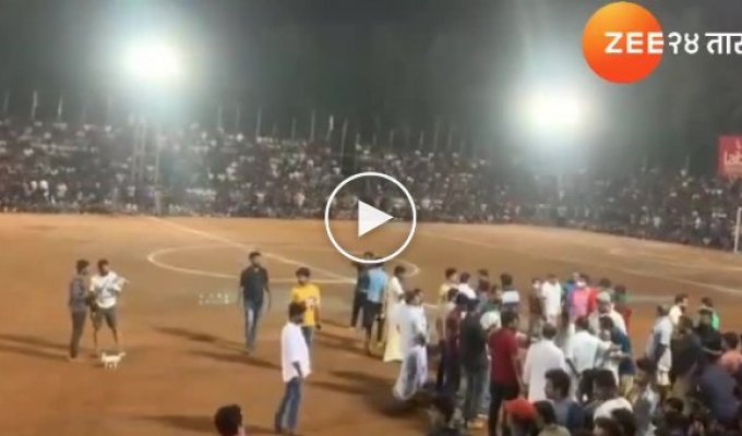 В Индии обрушилась футбольная трибуна с 2 тысячами зрителей