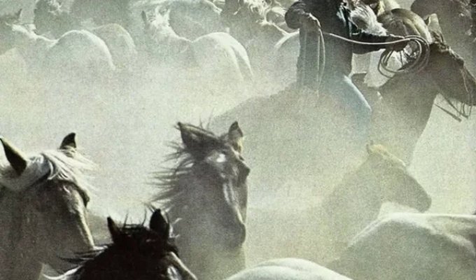 Aesthetics of Yesteryear: Old Scans from the Iconic National Geographic (9 photos)