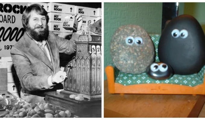 The story of how a useless pebble sparked a crazy trend and made an unemployed man a millionaire (12 photos)