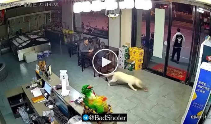 The dog saw the bottle