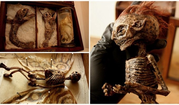 В подвале старого лондонского особняка нашли тела странных существ (35 фото)