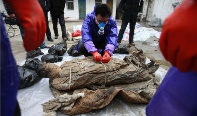 В Китае археологи обнаружили мумию времён династии Минь (13 фото)