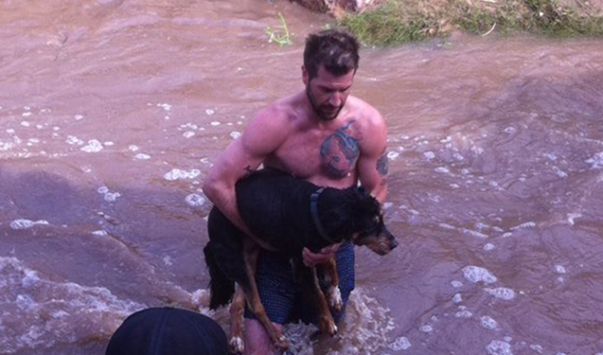 Мужчина бросился в холодную реку, чтобы спасти чужую собаку (5 фото)