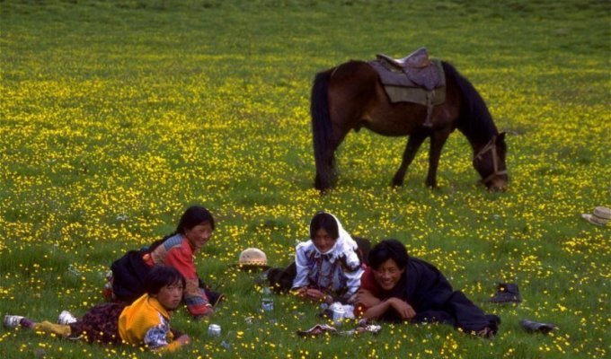 Номады – кочевники Тибета (19+36 фото)