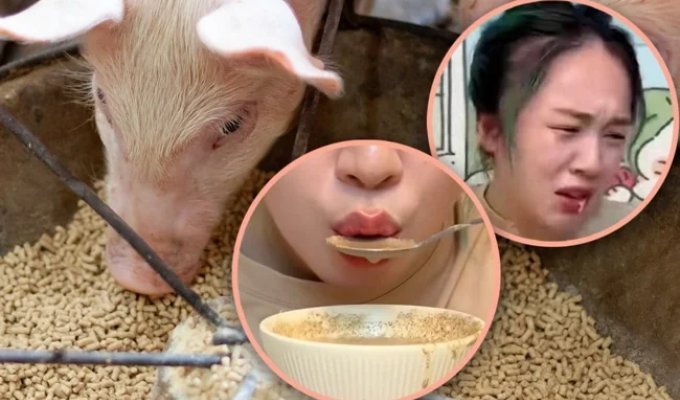 To save money, an eccentric decided to eat pig food (3 photos)