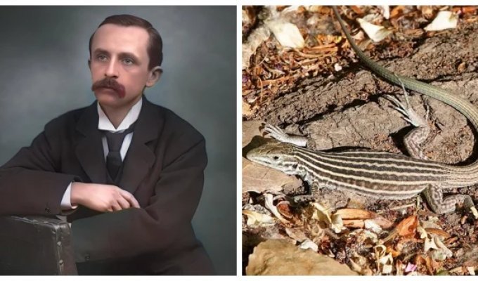 8 реальных фактов, похожих на безумную выдумку (9 фото)