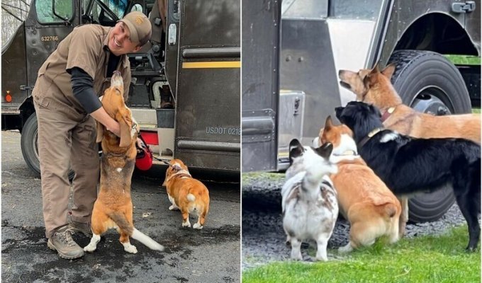 Курьер - собаке друг! Милейшие фото собак с доставщиками (26 фото)