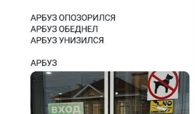 Подборка забавных твитов обо всем. Выпуск 767 (21 картинок)