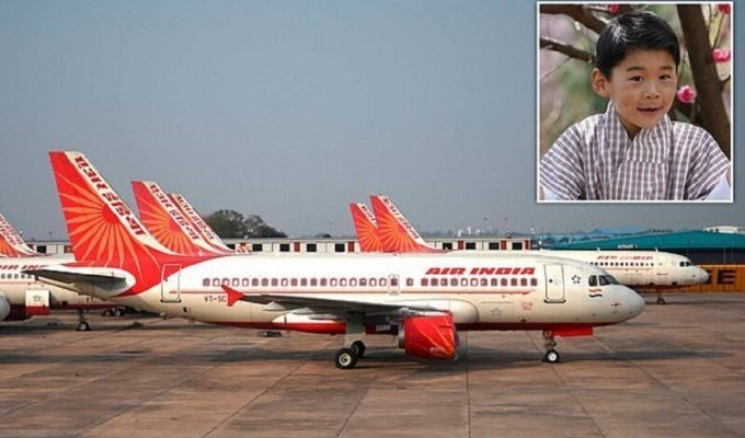 Рейс с принцем Бутана на борту остановили из-за нашествия муравьев (3 фото)