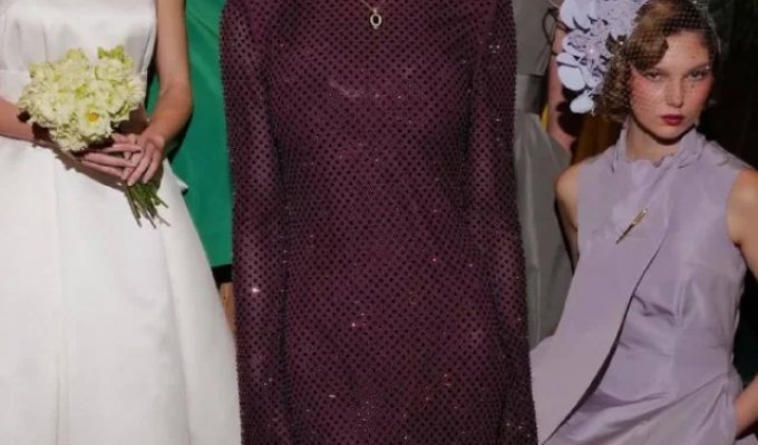 Келли Осборн уменьшается (4 фото)