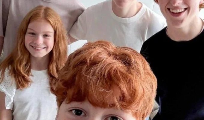 HBO показали актёров на роли семьи Уизли в сериале «Гарри Поттер»