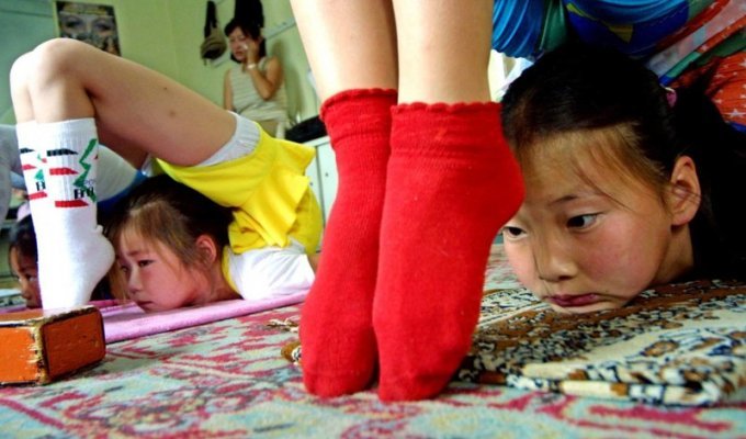 Монгольских девочек забирают из семьи, чтобы превратить в знаменитых акробаток (11 фото)
