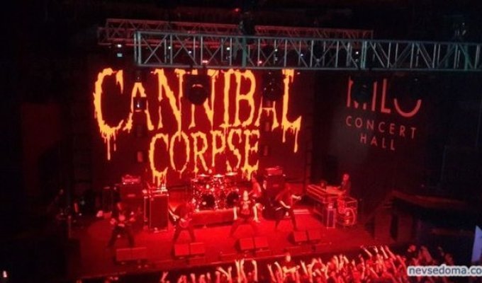 Концерт Cannibal Corpse Нижнем Новгороде сорвал спецназ (3 фото)