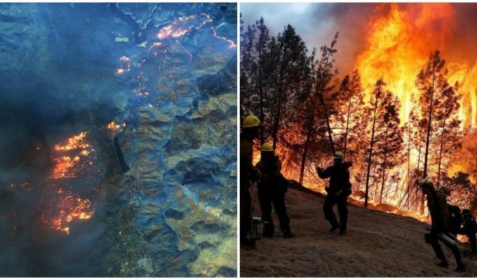 Разрушительные лесные пожары в Калифорнии - снимки из космоса (8 фото + 1 видео)