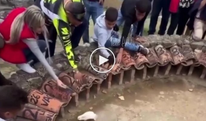 В Африке в казино вместо шарика живой кролик