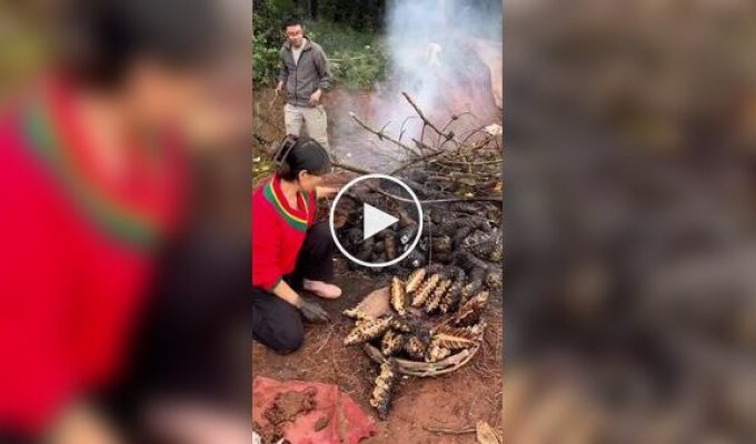 В Китае готовят традиционные жареные шишки с дымным ароматом