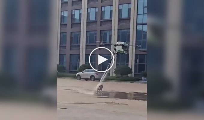 Drone washes a dog in China