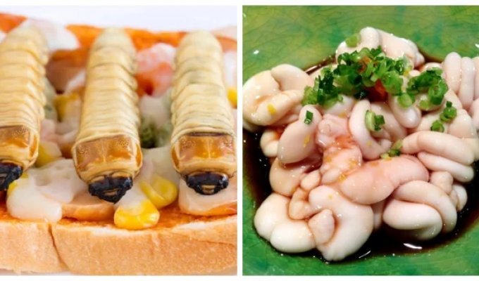 20 unusual, bizarre (and disgusting) dishes that people from different countries love and appreciate (21 photos)