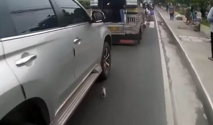 Мотоциклист спас котёнка на оживлённой дороге и нашёл ему дом (4 фото + 1 видео)