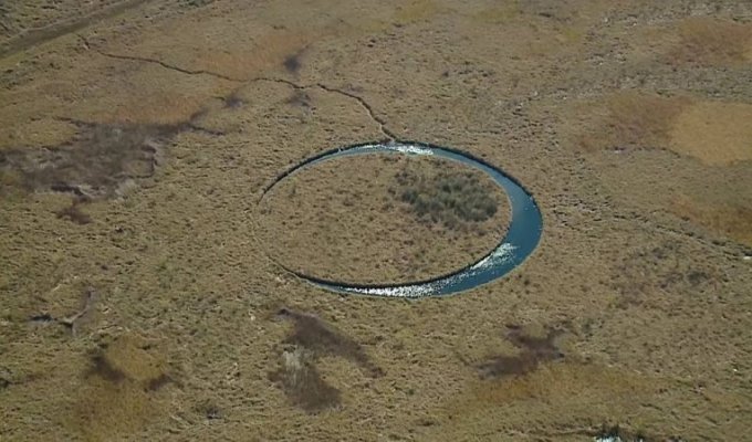Загадочный круг в болотах Аргентины (7 фото + 2 видео)