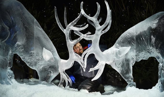 Невероятные ледяные скульптуры Даррена Джексона (9 фото)