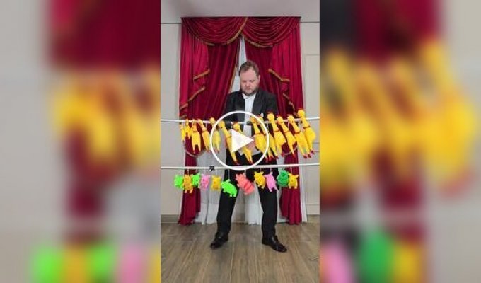 California Dreamin на резиновых курицах — это нужно услышать