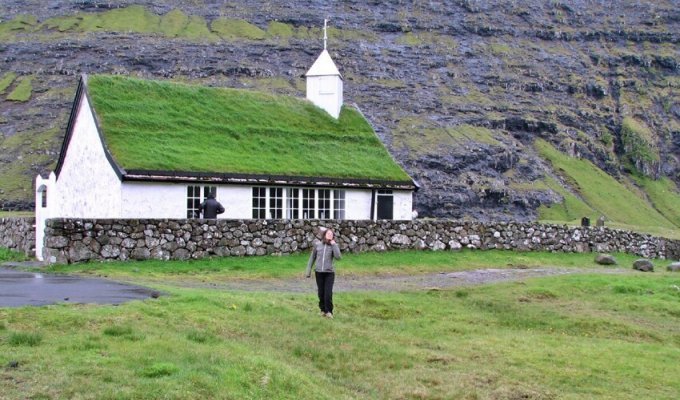 Почему на крышах домов в Скандинавии растет трава? (3 фото)