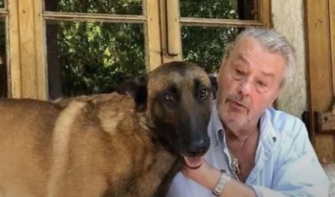 Alain Delon asked to euthanize his dog Loubo after his death (2 photos)