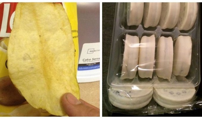 17 lucky people who won the food lottery (18 photos)