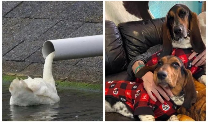 22 Mind-Bending Photos You Have to Look at from Every Angle (23 photos)