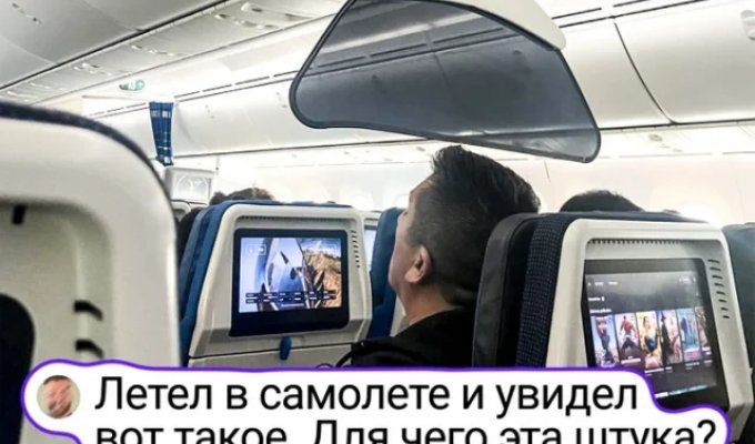 Что за штука: самые странные находки. Выпуск 226